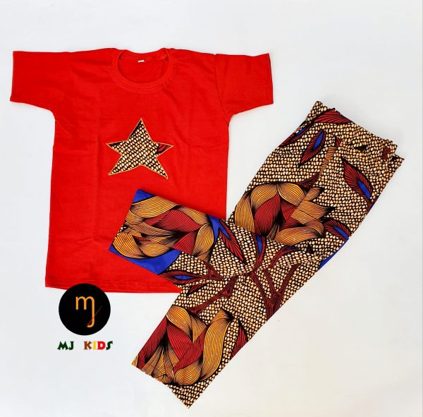 African print Automobile starembroidery